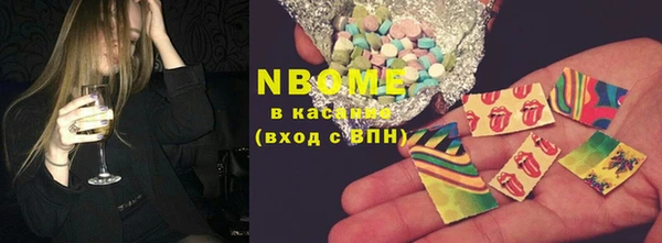 стаф Каменка