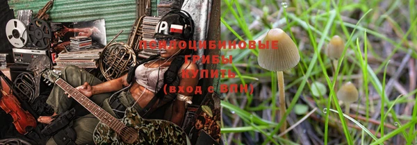 тгк Каменногорск